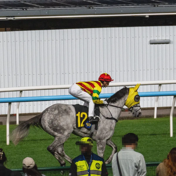 赛马1