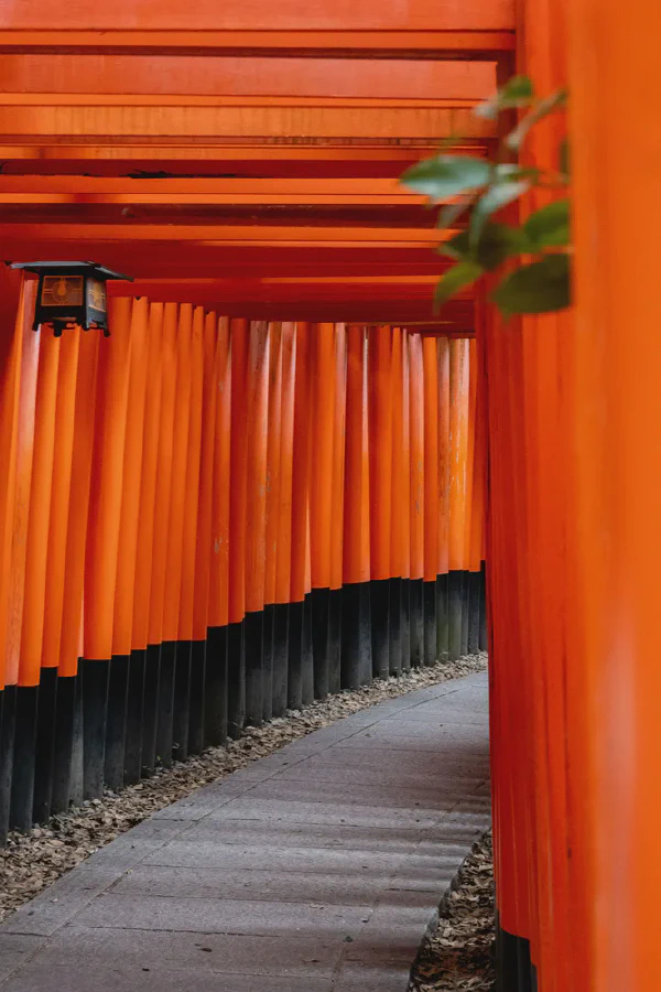 千本鸟居1