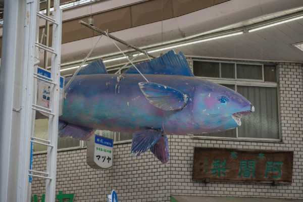 商店街里悬挂的鱼